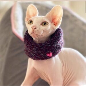 NEW - Handmade Ombré | Calming Scarf | Cowl Scarf | Circle Scarf for Sphynx Cat